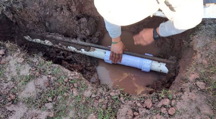 Recibe la catedral del fútbol ahomense trabajos de mantenimiento