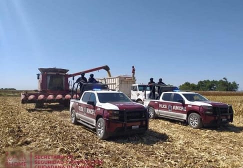 ¡Evitan robo hormiga! Vigila Policía de Ahome campos agrícolas de la región
