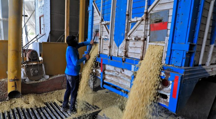 “Se les comprará a todos los pequeños productores su maíz” Rubén Rocha Moya