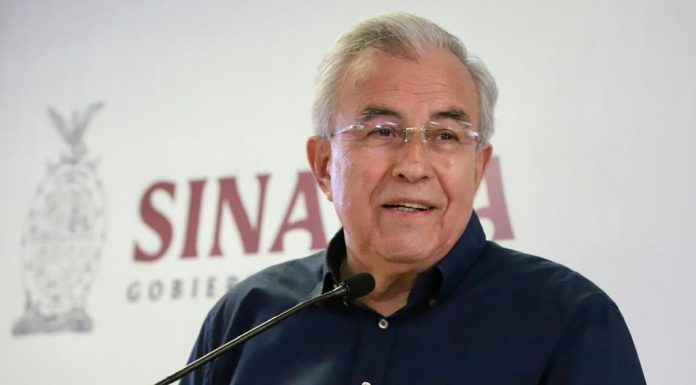 El maíz blanco en Sinaloa avanza un 96 por ciento