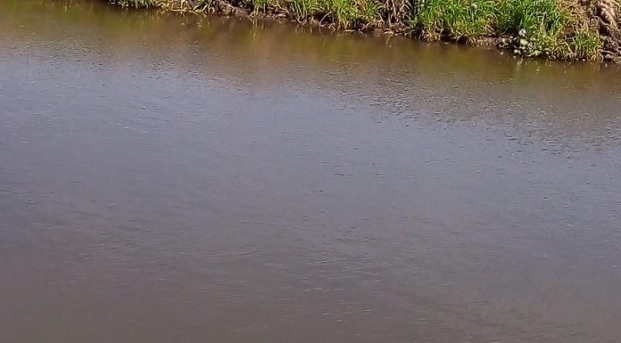 ¡¡ENCUENTRAN SIN VIDA A UNA PERSONA EN UN CANAL EN EL RANCHITO HIGUERA DE ZARAGOZA.!!