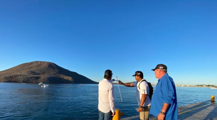 Invitan al Torneo de Pesca Deportiva “Topolobampo Ahome Fish 2023”