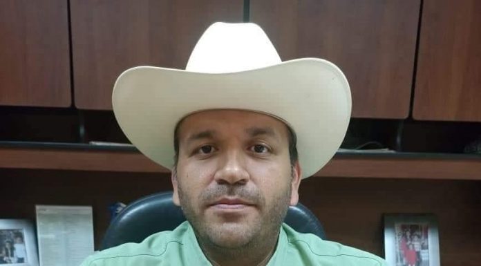 Este 2023 más de 194 mil hectáreas de cultivos se han establecido en Sinaloa