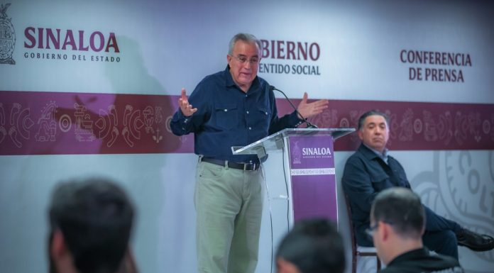 Sinaloa no corre riesgos ante disminución en siembra de maíz