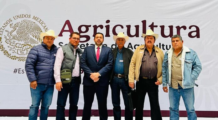 Anuncia Ismael Bello Esquivel apertura de sistema de SADER para recepción de documentos de comercialización a trigueros