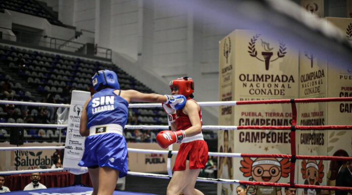 Ya hay fechas para la eliminatoria de boxeo en Ahome