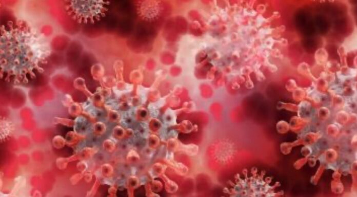 Alertan autoridades de salud por aumento de casos de parvovirus humano
