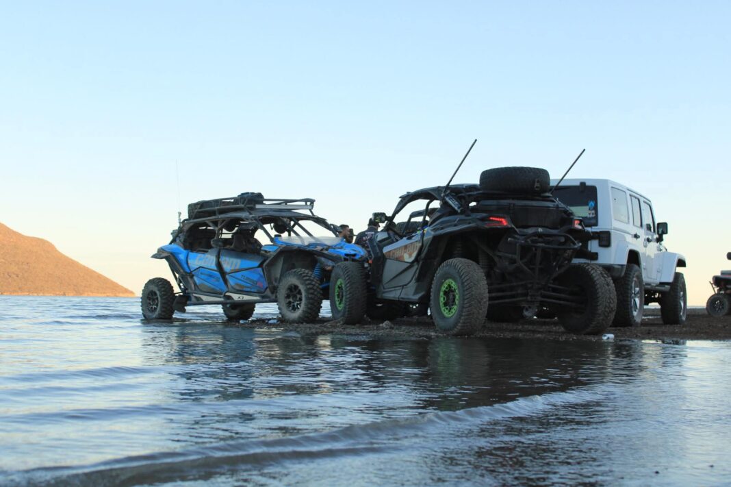 IMG-20260115-WA0050