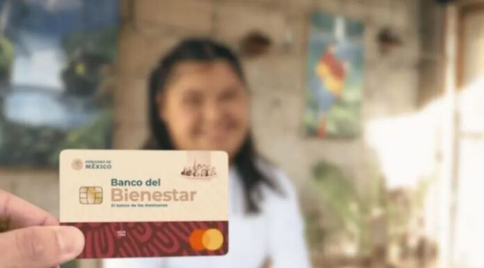 Abren registro para Pensión por Discapacidad en México: apoyo de 3,300 pesos bimestrales estará disponible del 23 al 29 de marzo