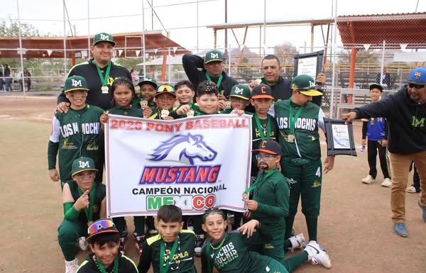 Liga de Ahome lo vuelve a hacer en Infantil Menor Pesada