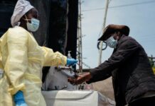 Ébola y Hantavirus reactivan alertas sanitarias globales
