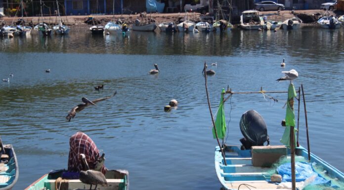 Pescadores de Ohuira y Topolobampo piden información objetiva y atención a problemáticas del sector