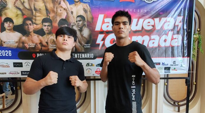 Cartelera lista para la función de box “La nueva camada”