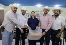 Entrega gobernadora Yeraldine semilla de sorgo a más de 3 mil 800 ganaderos de Sinaloa