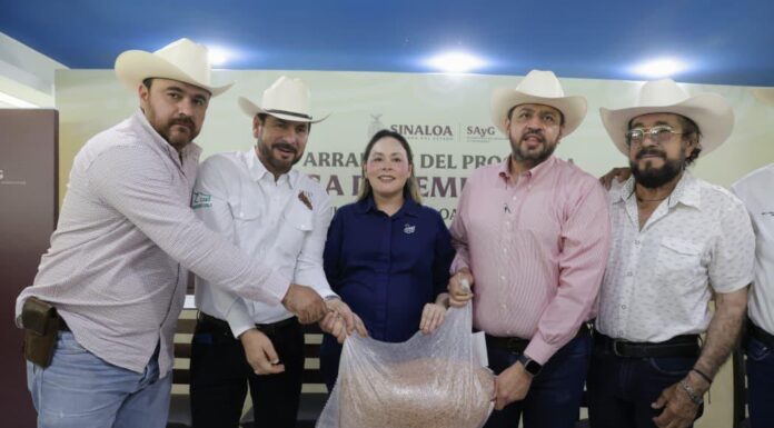 Entrega gobernadora Yeraldine semilla de sorgo a más de 3 mil 800 ganaderos de Sinaloa