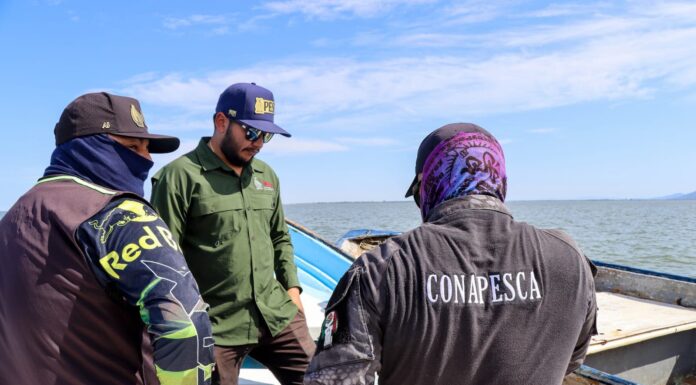 Gobierno de Sinaloa fortalece la protección de los recursos pesqueros con el Programa de Inspección y Vigilancia