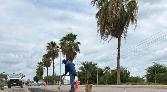 SOP y COMUN suman más de 2 mil m2 de baches y grietas tapadas con asfalto