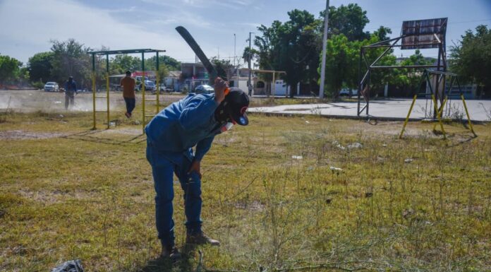 Servicios Públicos ha instalado mil 200 nuevas luminarias este año en la red de alumbrado del Municipio