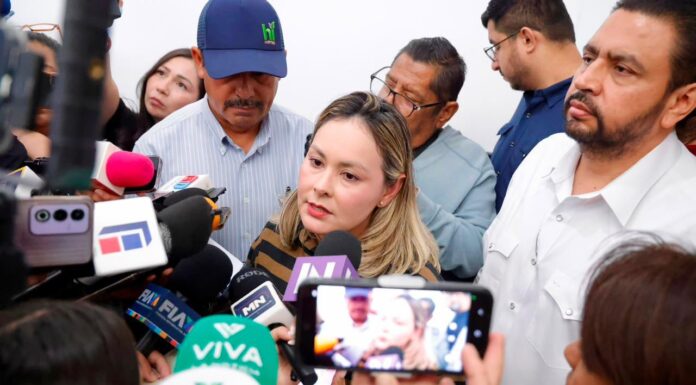 Continúan las gestiones para adelantar el subsidio de verano de CFE a partir de abril
