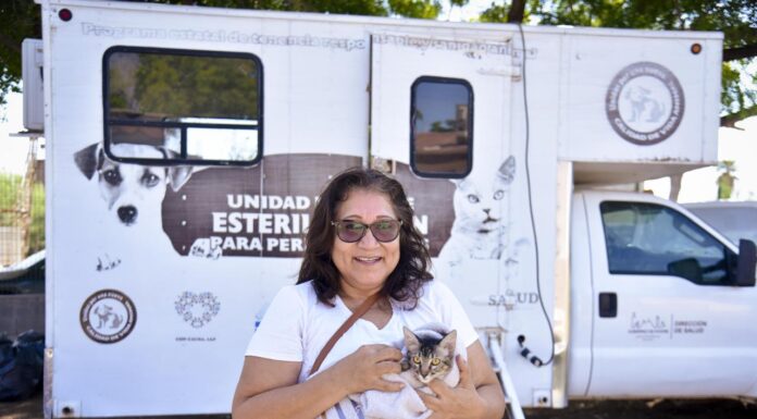 Brigadas y servicios de Salud en Ahome no se detienen