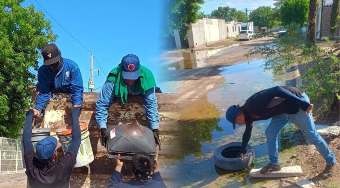 Hoy viernes Salud Ahome lleva jornada de descacharrización a nueve colonias