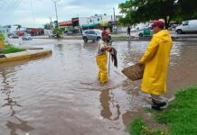 Trabajos de limpieza y mantenimiento a la red hidráulica dan buenos resultado ante las lluvias