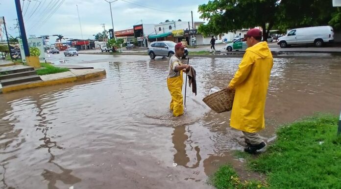 Trabajos de limpieza y mantenimiento a la red hidráulica dan buenos resultado ante las lluvias