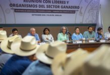 Gobernadora Graciela Domínguez y secretaria de Agricultura Columba López abren diálogo con el sector ganadero sinaloense