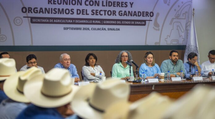 Gobernadora Graciela Domínguez y secretaria de Agricultura Columba López abren diálogo con el sector ganadero sinaloense