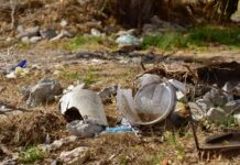 Salud Municipal intensifica acciones contra el dengue tras las lluvias en Ahome