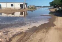 Protección Civil analiza soluciones ante ingreso recurrente del mar a viviendas de El Colorado