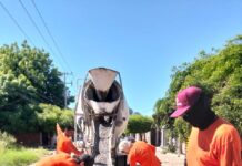COMUN intensifica trabajos de bacheo en Los Mochis; atiende bulevar Rosales y otras vialidades
