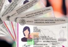 INE LLAMA A RENOVAR CREDENCIALES PARA VOTAR QUE VENCEN EN 2026; DEJARÁN DE SER VÁLIDAS EN ENERO
