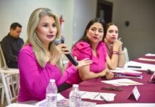 Sesiona COMPAVIF y anuncia acciones para mejorar en la prevención y erradicación de la violencia familiar