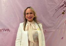 El Árbol de la Vida Rosa de AMMJE Los Mochis suma a la concientización y apoyará a mujeres que enfrentan cáncer de mama